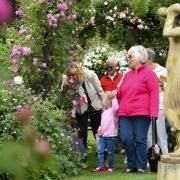 Peter Beales Roses has been taken on by new owners