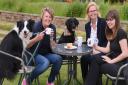 Kathryn Cross, second right, at Centre Paws in Wymondham. With her from left, Collie Bass, agility trainer Jayne Widdess, Blackberry, and groomer Sam Johnson