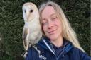 Dotty the barn owl is missing after she got spooked and flew from her home in Attleborough. Dotty is owned by Megan Burr.