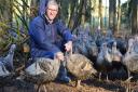 Mark Gorton is a director of Traditional Norfolk Poultry, which is based within the 3km 
