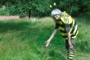 Dr Anne Edwards dressed up as Betty the Bee to highlight rewilding plans in Hethersett.