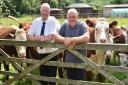 Cattle farmer Clive Bidmead, of Rockland Herefords, has teamed up with Attleborough butcher Tony Perkins to create a super-local food chain