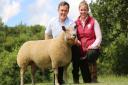 Norfolk sheep breeders Elizabeth Barber and Mitchel Britten sold their Charollais ram lamb named Cavick What A Boy for 15,000 guineas
