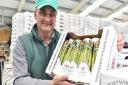 Norfolk asparagus grower Andy Allen fears he may be forced to stop growing the crop within 10 years unless farmgate prices rise to counteract soaring labour costs