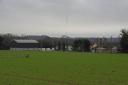 Homelea Farm in Great Ellingham, the site of Norfolk's third bird flu outbreak this December