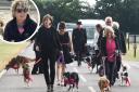 The seven dogs,  Bass, Jig, Nancy, Dottie, Groovy, Vibe and Uri, lead the way in front of the hearse as their owner, Jayne Fuller arrives at her funeral. The handlers are all friends of Jayne Fuller's