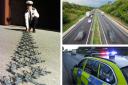 Driver suffered punctures after a police stinger fell from a police car on the A11 at Spooner Row