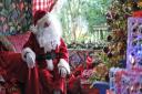 Santa Claus will be visiting Banham Zoo during its Christmas Experience