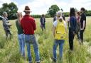 Wildlife experts discussed the creation and management of flower-rich grasslands at Norfolk's Coronation Meadow at Fir Grove Farm in Wreningham