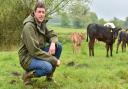 Wymondham-based builder Tom Seaman with the cattle herd he runs in his spare time