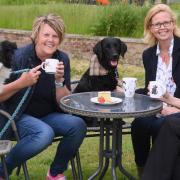 Kathryn Cross, second right, at Centre Paws in Wymondham. With her from left, Collie Bass, agility trainer Jayne Widdess, Blackberry, and groomer Sam Johnson