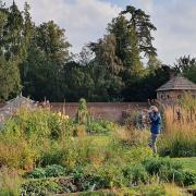The walled gardens at Ketteringham Hall, near Wymondham, which is now the home of the Norfolk School of Gardening