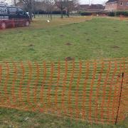 Trees have been planted in green space off Blackthorn Road in Attleborough and off Heron Way in Watton.