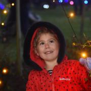Millie Hartle, five, with some of the Christmas lights at Peter Beales Garden Centre in Attleborough. Picture: DENISE BRADLEY