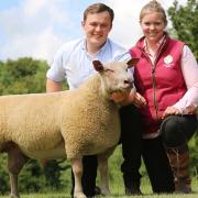 Norfolk sheep breeders Elizabeth Barber and Mitchel Britten sold their Charollais ram lamb named Cavick What A Boy for 15,000 guineas