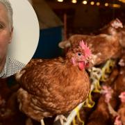 Kevin Sketcher, managing director of 2Agriculture, says the firm's proposed £40m feed mill at Snetterton is vital to East Anglia's poultry industry