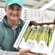 Norfolk asparagus grower Andy Allen fears he may be forced to stop growing the crop within 10 years unless farmgate prices rise to counteract soaring labour costs