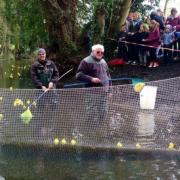 Wymondham duck race. Pic: Joe Mooney