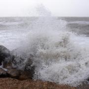Winds could reach up to 45mph in Norfolk as Storm Gerrit hits the UK Picture: Denise Bradley