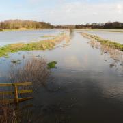 There are more than a dozen flood alerts issued for Norfolk today